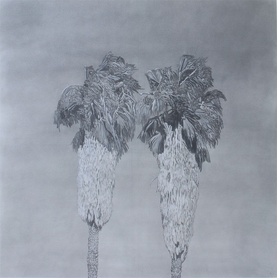 Clay Wagstaff (LA)
Palm No. 20, 2019
WAG371
graphite on arches cover paper, 43 x 43 in.