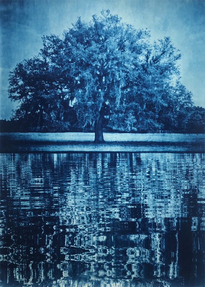 Thomas Hager
Anderson Ranch Live Oak with Water I, 1/12, 2020
HAG636
cyanotype, 42 x 30 inches full bleed
