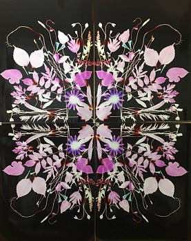 Wendy Small -&nbsp;Untitled, 2019 unique color photogram 40 x 32 inches SMA306