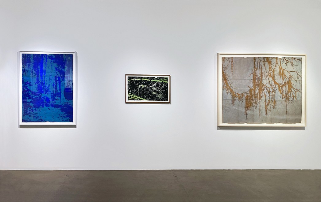 Summer Selections, A Rotating Group Show of Gallery Artists - Installation View