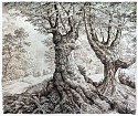 Rick Shaefer, Two Old Maples in a Clearing
2020, pencil and ink on Yupo paper