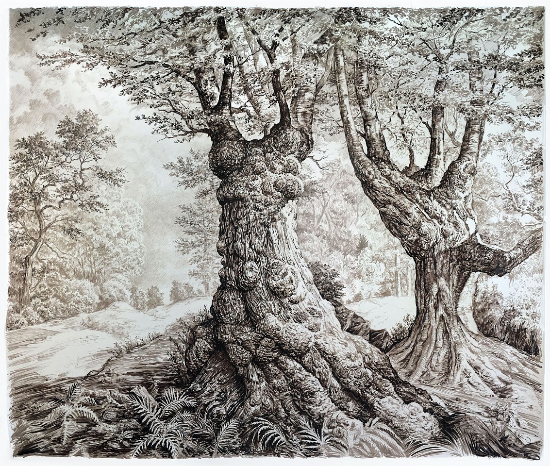 Rick Shaefer
Two Old Maples in a Clearing, 2020
shaef078
pencil and ink on Yupo paper, 59 x 70 inches