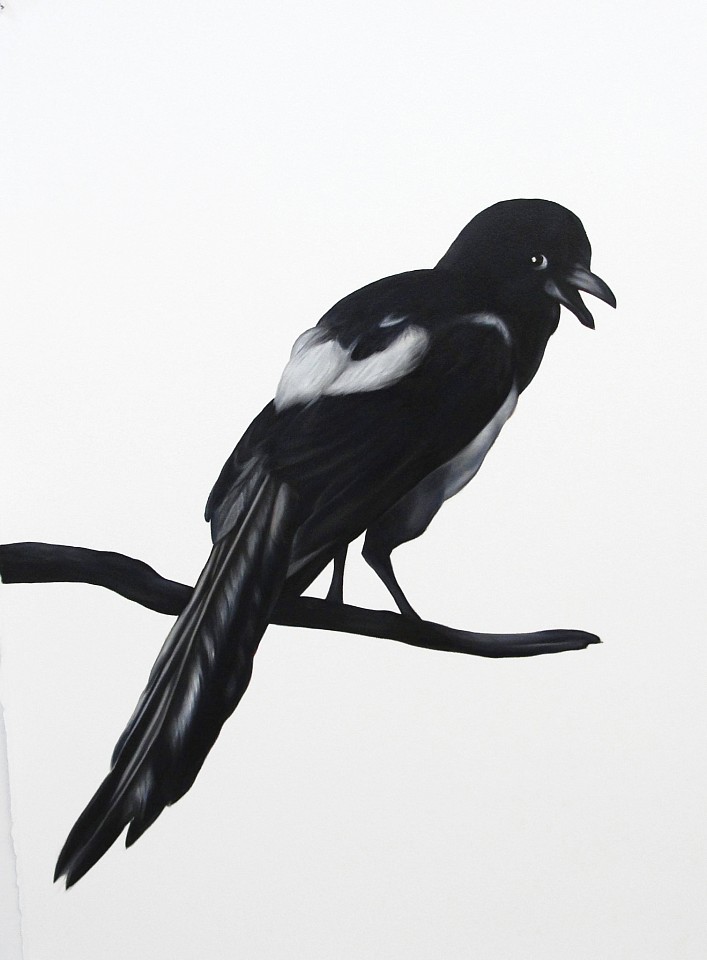 Shelley Reed
Magpie (after Hondecoeter), 2016
REE120
oil on paper, 30 x 22.5 inches
