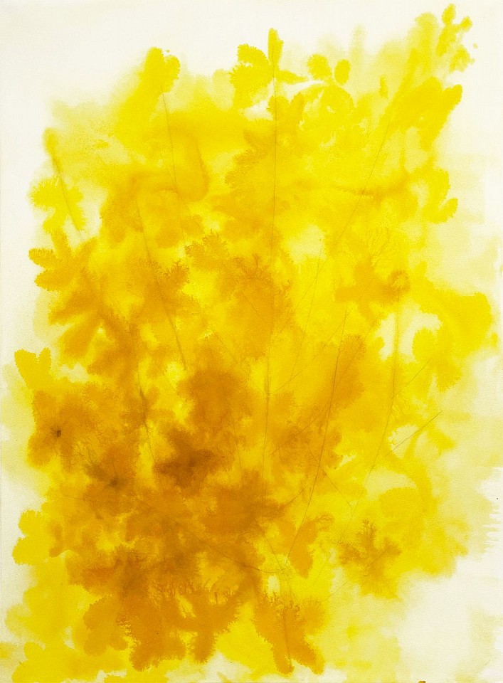 Lourdes Sanchez
Yellow and Yellow, 2021
SANCH920
ink, watercolor and pencil on paper, 28 1/2 x 21 inches