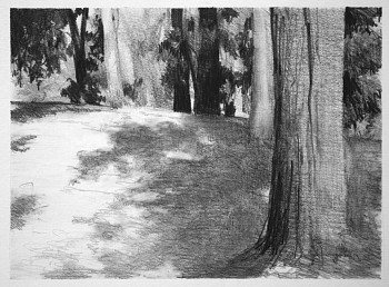 Peter Schroth -&nbsp;Prospect Park 2 graphite on paper 5 x 7 inches SCHR759
