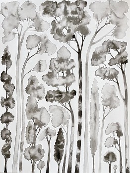 Los Angeles:&nbsp;Bryan Rogers (LA)