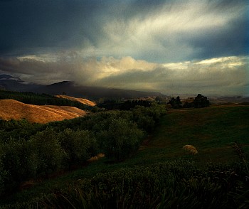 Jason Frank Rothenberg (LA) - Farm #1, ed. of 8, 2020 archival pigment print 42 x 50 inches / 43 x 51 inches framed JFR023