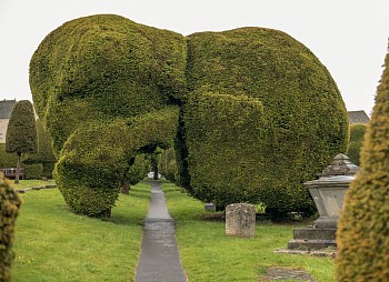 Susanna Howe -&nbsp;Bridge, edition of 9, 2017 c-print 31 3/4 x 43 3/4 inch paper / 32 3/4 x 44 3/4 inch frame HOWE009