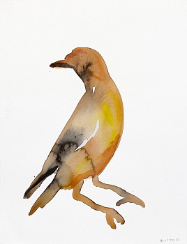 Kim McCarty (LA) - Red Robin, 2013 watercolor on paper 15 x 11 1/2 inches MCCAR091