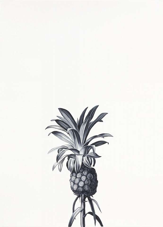 Shelley Reed (LA)
Pineapple (after Redoute), 2021
REE203
oil on paper, 41 x 29 1/2 inches