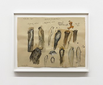 Jane Rosen - Cone Scale Study, 2012 Korean watercolor, ink, and gouache 22 x 30 inches ROSEN242