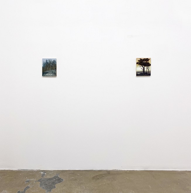 PROJECT ROOM: Eileen Murphy, I Know That Place - Installation View