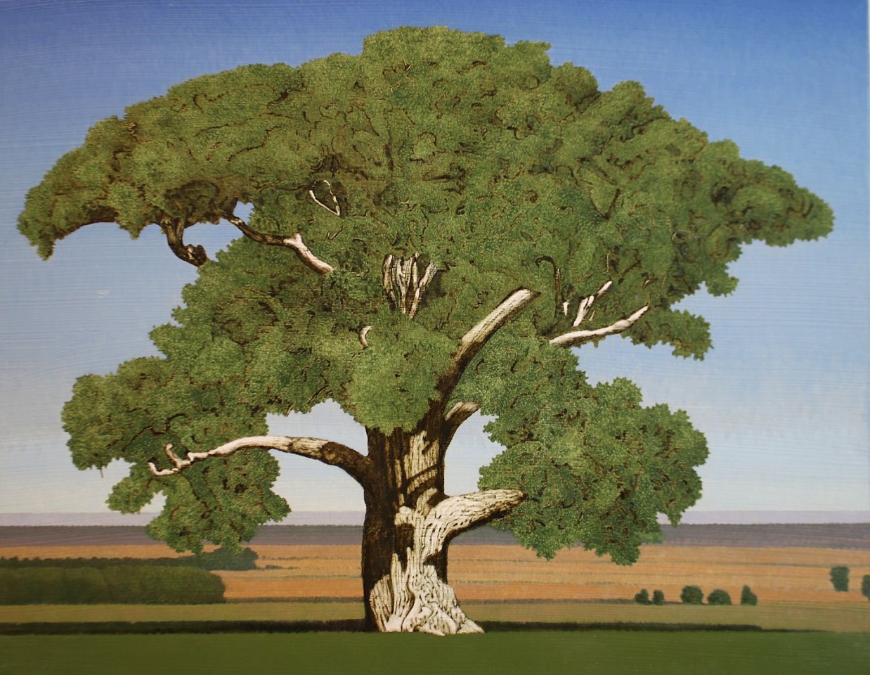 Clay Wagstaff (LA)
Cottonwood no. 15, 2022
WAG386
oil on panel, 18 x 23 inches
