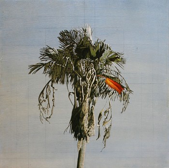 Clay Wagstaff (LA) - Palm no. 15, 2022 oil on panel 30 x 30 inches WAG388
