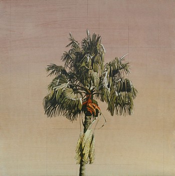 Clay Wagstaff (LA) - Palm no. 16, 2022 oil on panel 30 x 30 inches WAG389