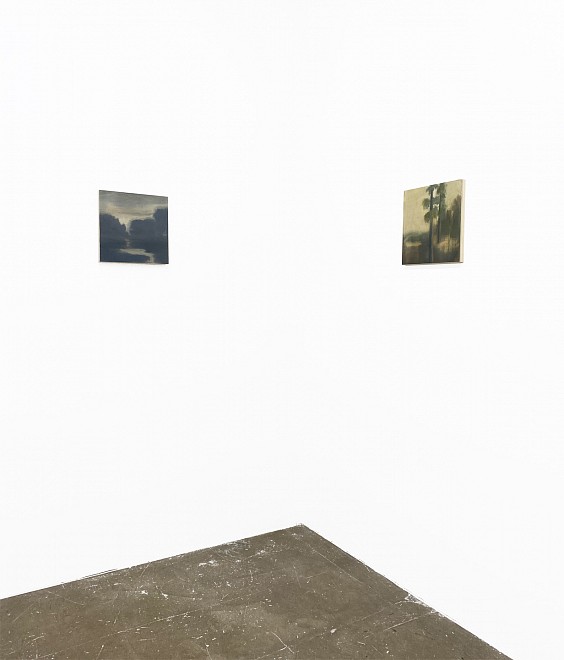 PROJECT ROOM: Poogy Bjerklie, Between the Known and Unknown - Installation View