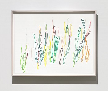 Agnes Barley - Untitled (Vertical Gardens), 2005 acrylic on paper 38 x 50 inches BARL744