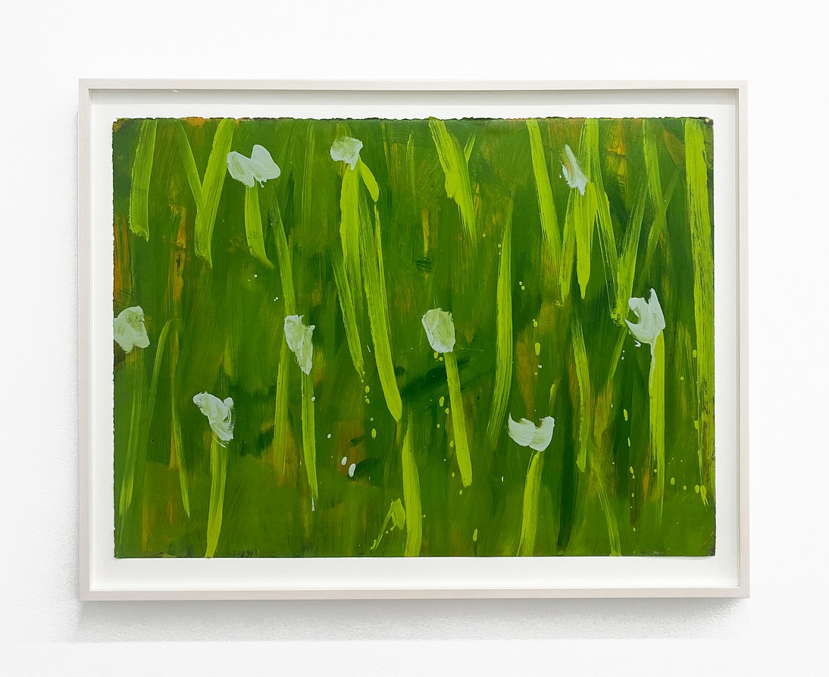 Kathryn Lynch
Wild Flowers 2, 2011
lyn407
oil on paper, 22 x 30 inches