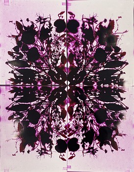 Wendy Small -&nbsp;Remedy Party, 2022 color photogram 22 x 28 inches SMA335