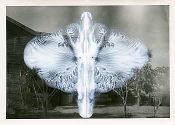 Work:&nbsp;Lila Co vintage photograph and nail polish 3 1/2 x 4 1/2 inches image / 10 x 10 1/2 inches framed Stein352