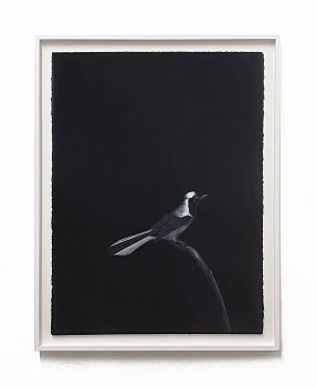 Work: Shelley Reed Green Jay (after Barraband), 2021 oil on paper 30 x 22 1/2 inches / 33 1/4 x 26 inches framed REE209