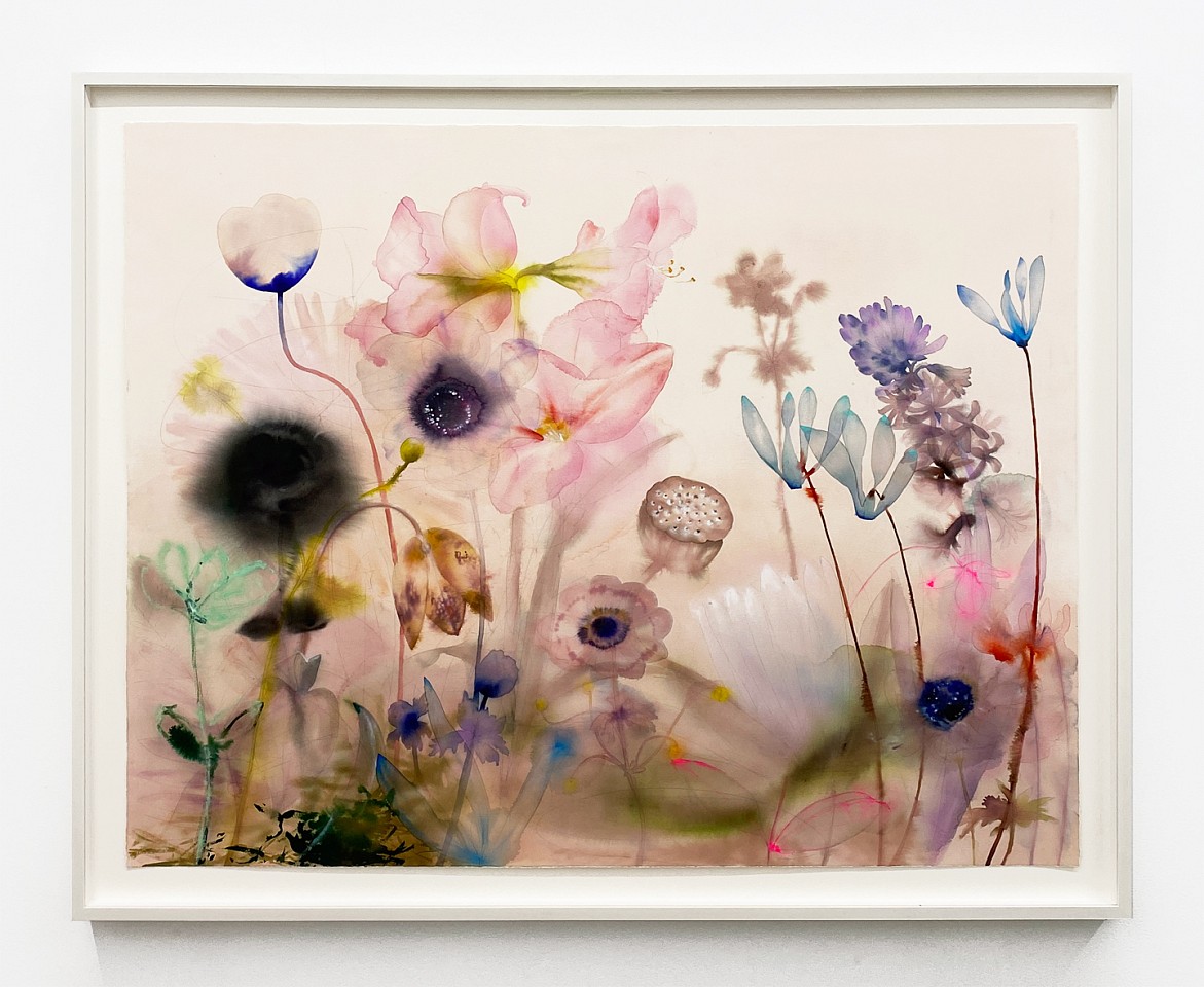 Lourdes Sanchez
Touch down; lift off (with amarylis, water lilies, Jack in the Pulpit, and other relations), 2023
SANCH987
ink, watercolor and pencil on paper, 43 x 55 inches / 49 x 60 1/2 inches framed