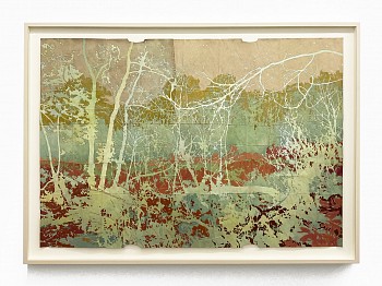 Maysey Craddock: Golden Hour&nbsp;