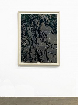 Maysey Craddock: Golden Hour&nbsp;