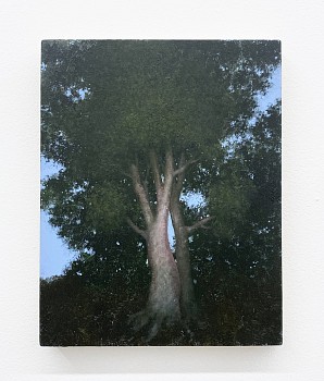 Eileen Murphy -&nbsp;Untitled, 2023 oil on panel 10 x 8 inches MURPH031