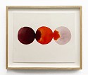 Lourdes Sanchez, 3 touching circles in a row (orange, browns)
2023, ink, watercolor and pencil on paper