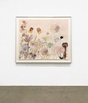 Lourdes Sanchez, I didn't know if I was above water or below, I only knew every living being was singing&nbsp;