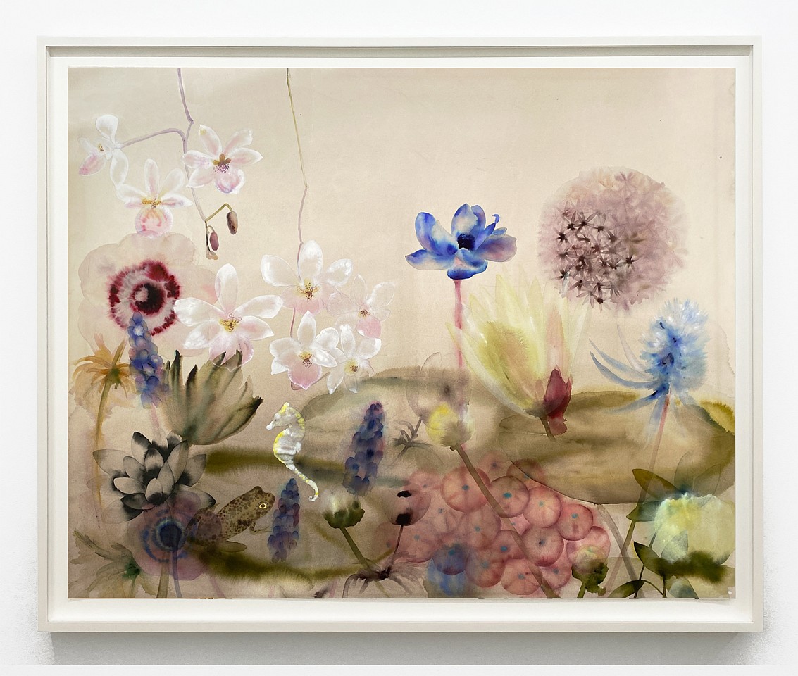 Lourdes Sanchez
Untited (With Spotted Mountain Frog, Pygmy Seahorse, Orchids and Others), 2023
SANCH1031
ink, watercolor and pencil on paper, 43 x 54 inches / 47 1/2 x 58 1/2 inches framed