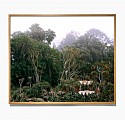 Jason Frank Rothenberg (LA), Lotus Land
2023, archival pigment print