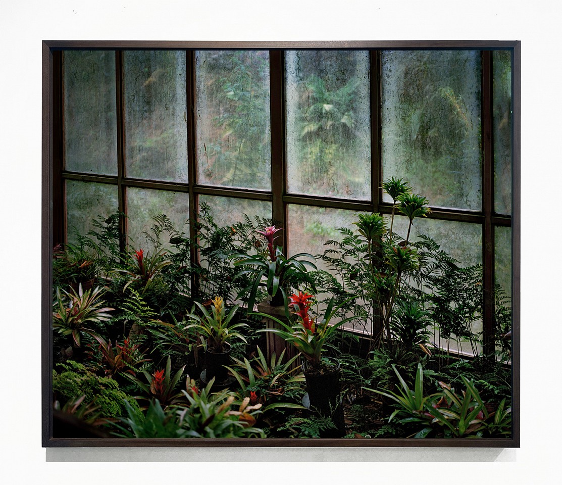 Jason Frank Rothenberg (LA)
Hawaii II, 2024
JFR027(A)
archival pigment print, 42 x 50 inches / 43 x 51 inches framed