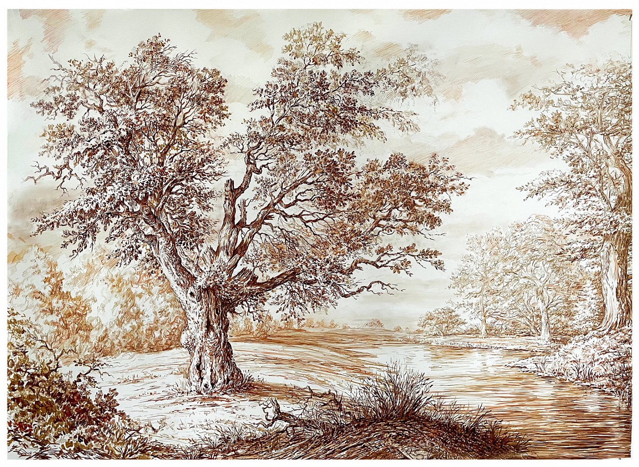 Rick Shaefer
Single Oak Near Pond, 2024
shaef113
brown pencil and ink on Yupo, 45 1/2 x 60 inches