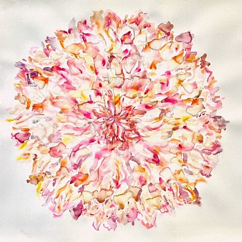 Kim McCarty (LA) - Untitled, 2024 watercolor on paper 54 x 45 inches MCCAR124