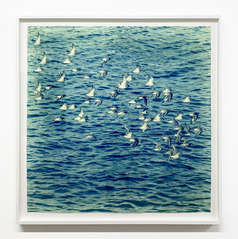 Thomas Hager
Water Flight, 2024
HAG685
archival pigment print, 42 1/2 x 42 inches