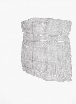 Karin Schaefer -&nbsp;Constituent Parts, 2024 ink on paper 38 x 28 inches SCHAE139