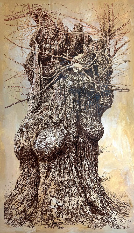 Rick Shaefer
Old Maple Near Mill River II, 2024
shaef123
pencil, ink, and white gouache on gessoed vellum, 64 x 36 inches