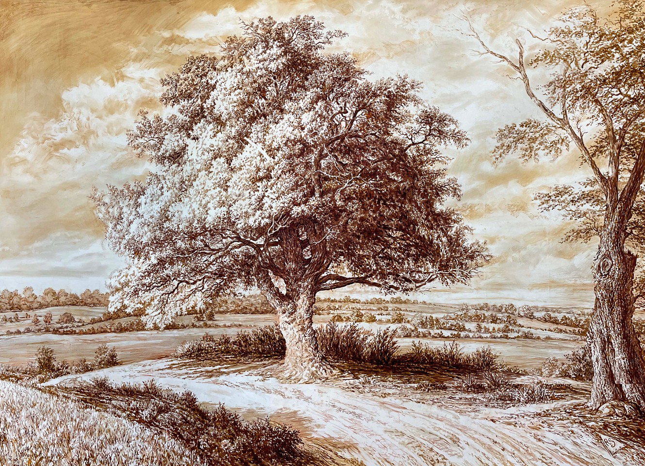 Rick Shaefer
Lone Oak on a Knoll, 2024
shaef118
sepia chalk, pencil and ink on Yupo, 55 x 74 inches