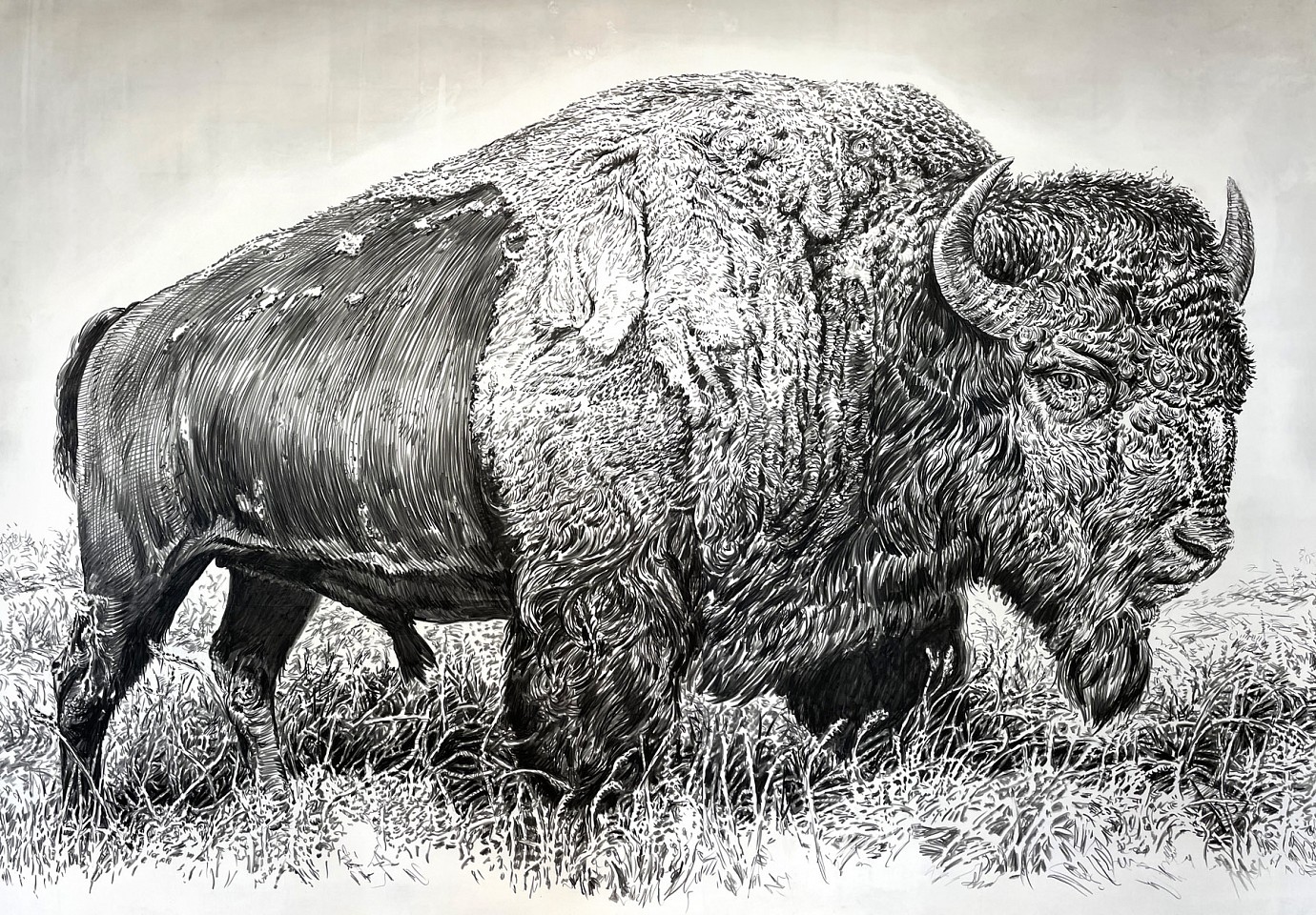 Rick Shaefer
Bison XIII, 2024
shaef120
charcoal on gessoed vellum, 53 x 75 inches