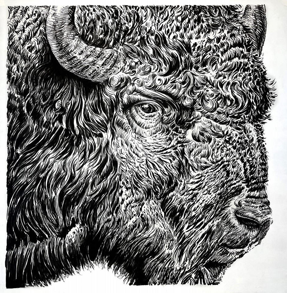 Rick Shaefer
Bison Head, 2024
shaef121
charcoal on gessoed vellum, 42 x 42 inches