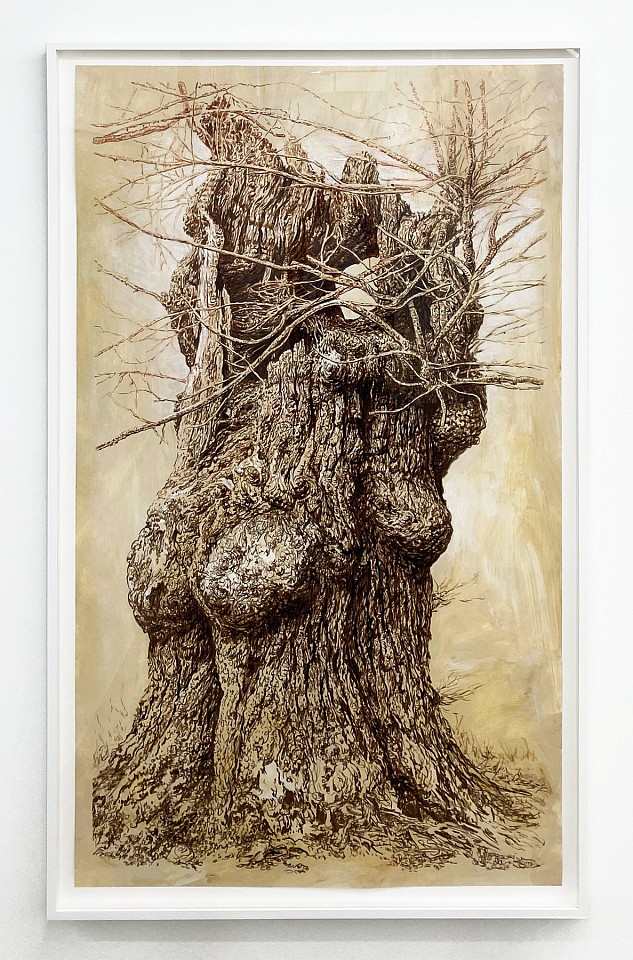 Rick Shaefer
Old Maple Near Mill River II, 2024
shaef123
pencil, ink, and white gouache on gessoed vellum, 64 x 36 inches / 66 1/4 x 39 1/2 inches framed