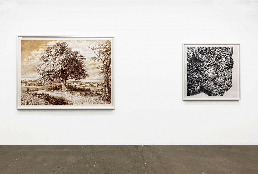 Rick Shaefer, All the Mornings  - Installation View