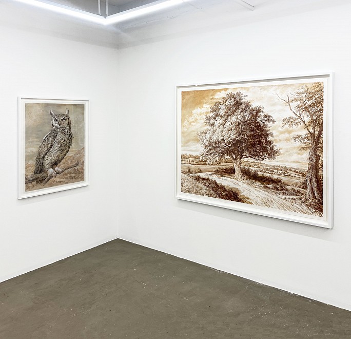 Rick Shaefer, All the Mornings  - Installation View