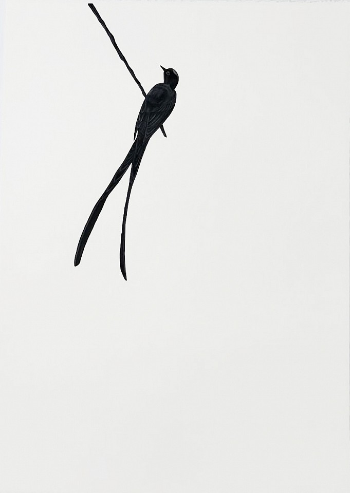 Shelley Reed (LA)
Perched (after Audubon), 2024
ree312
oil on paper, 40 x 30 inches