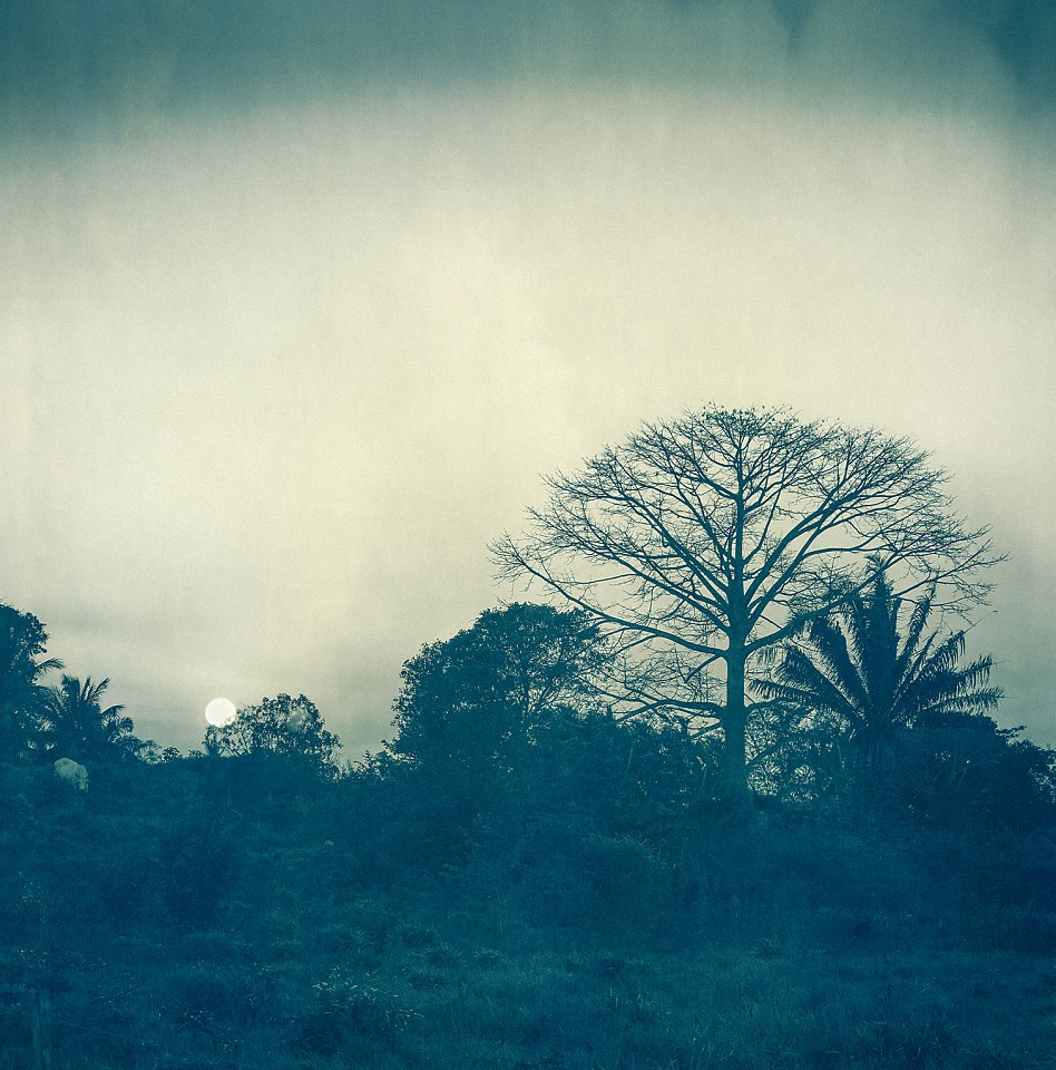 Thomas Hager
Costa Tree Moonrise, 2024
HAG694
archival pigment print, 42 1/2 x 42 inches