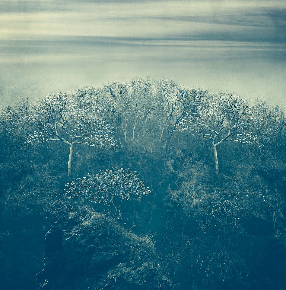 Thomas Hager
Mountain Side Trees With Sea Sky, 2024
HAG696
archival pigment print, 42 1/2 x 42 inches