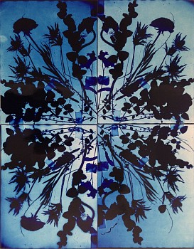 Wendy Small -&nbsp;Remedy, 2016 color photogram 28 x 22 inches SMA209