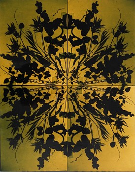 Wendy Small -&nbsp;Remedy, 2016 color photogram 28 x 22 inches SMA210